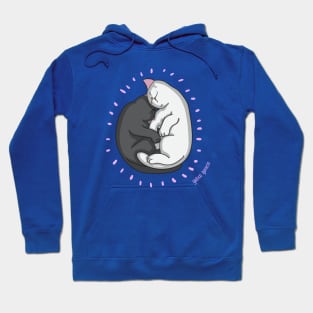 Cats sleeping Hoodie